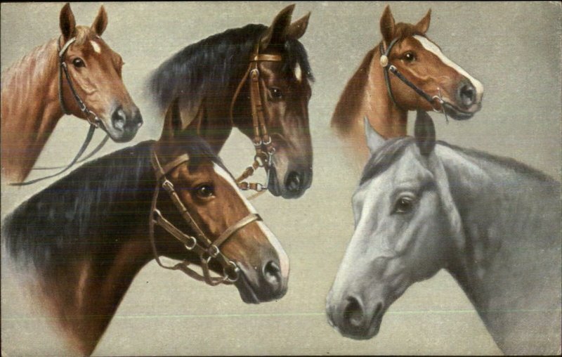 Beautiful Horses All Colors TSN Series 1818 c1910 Postcard