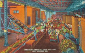 USA Unloading Bananas From Ship Side New Orleans 05.47