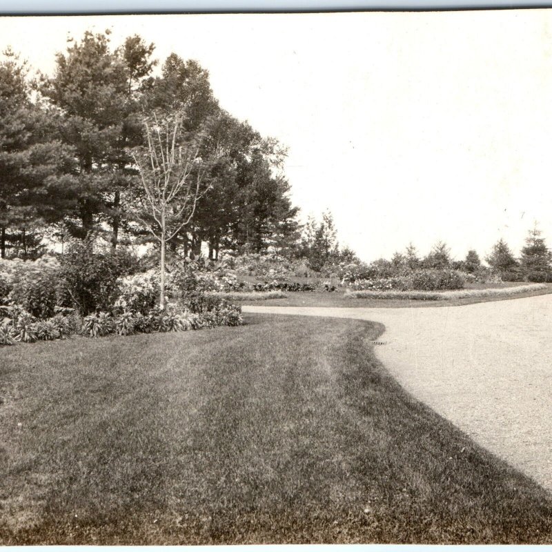 1910s Timeless Winding Park Road RPPC Transcendent Floral Garden Real Photo A143