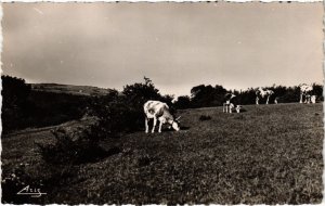 CPA Poligny un paturage (1265422)