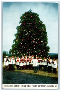 c1920 Baltimore & Ohio's Famous Holy Tree By Tracks Jackson Maryland MD Postcard