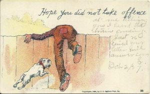 Antique Undivided Back UB Postcard Comic Hope You Did Not Take Offence 1905