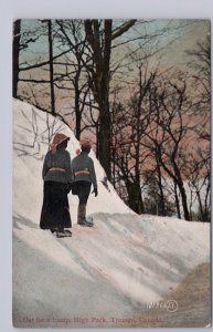 Winter Scene, Out For A Tramp, High Park, Toronto Ontario, Antique 1911 Postcard