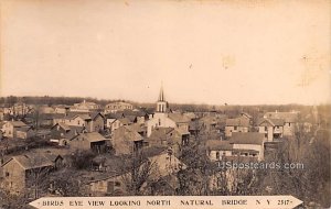 Birds Eye View - Natural Bridge, New York NY Postcard