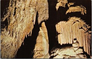 Madonna Lewis & Clark Cavern MT Montana Cave Caves UNUSED Vintage Postcard F46 