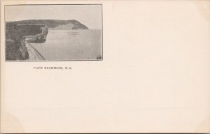 Cape Blomidon NS Nova Scotia Unused Postcard H45