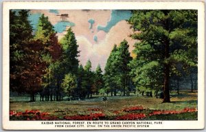 Cedar Utah UT, 1945 Kaibab National Forest, Route To Grand Canyon Park, Postcard