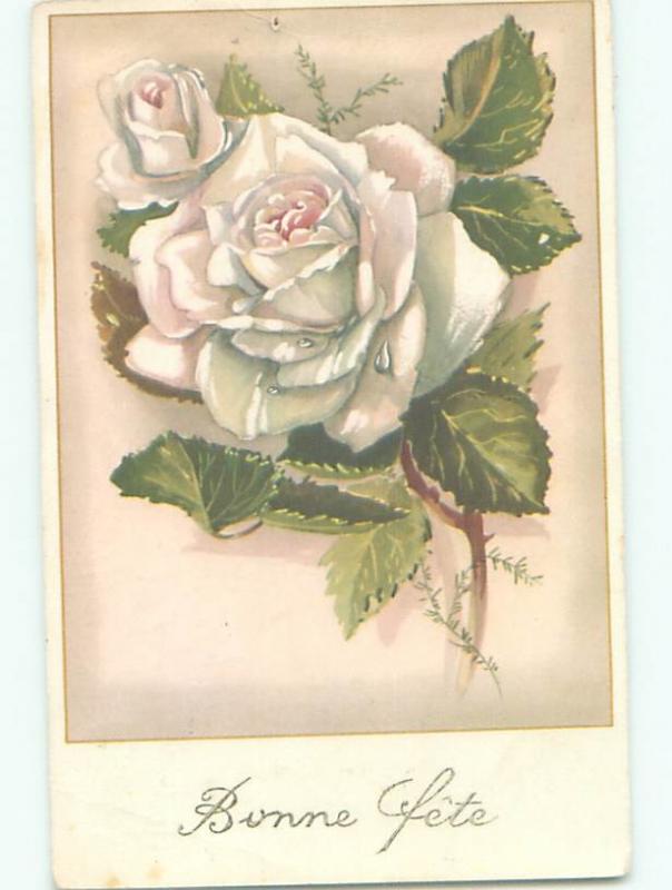 Very Old Foreign Postcard BEAUTIFUL FLOWERS SCENE AA4895