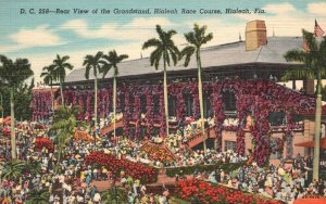 Vintage Postcard 1950 Grandstand Hialeah Race Course Full of Flowers Florida FL