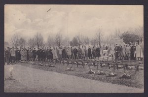 Vintage Postcard, the Giessen cemetery, WWI