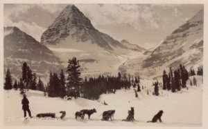 J79/ Mt Assinboine Banff Canada RPPC Postcard c1940s Sled Dog Team 377