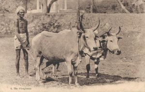 India - The Ploughman 04.38