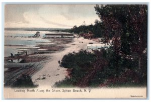 1909 Looking North Along The Shore Sylvan Beach New York NY Handcolored Postcard