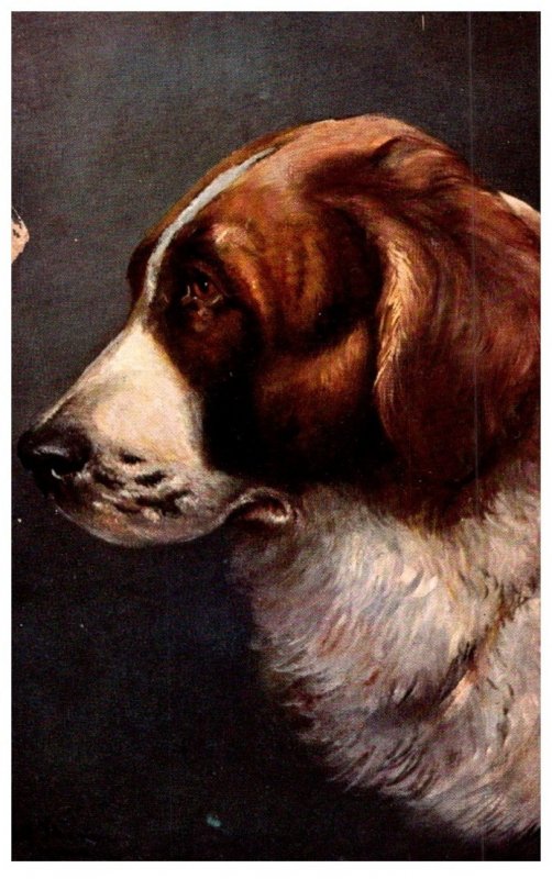 Dog  ,   artist signed