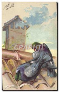 Postcard Old Pigeon Dove