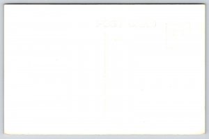 Evansville Wisconsin~Masonic Temple~1950s RPPC