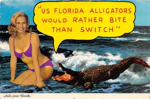 Florida Alligator  Alligator FL
