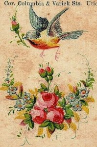 1881 Ehresmann & Arndt Dry Goods Bird Floral Victorian Calling Card Utica NY