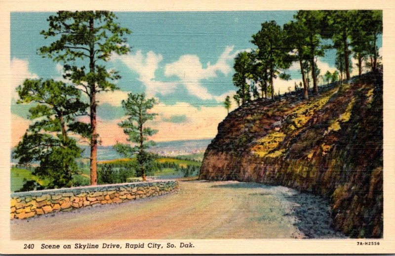 South Dakota Rapid City Scene On Skyline Drive Curteich