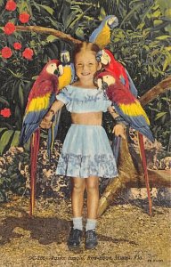 The Parrot jungle Miami, Florida USA The Parrot jungle Miami, Florida USA