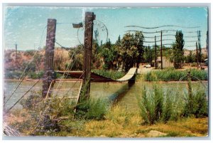 Truth Or Consequences New Mexico Postcard Old Suspension Foot Bridge Scene 1958