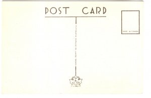 Boats in Harbour, St. John's Newfoundland,