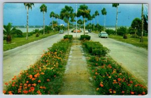 Flower Lined Causeway Clearwater Florida, 1959 Postcard Heart Fund Slogan Cancel