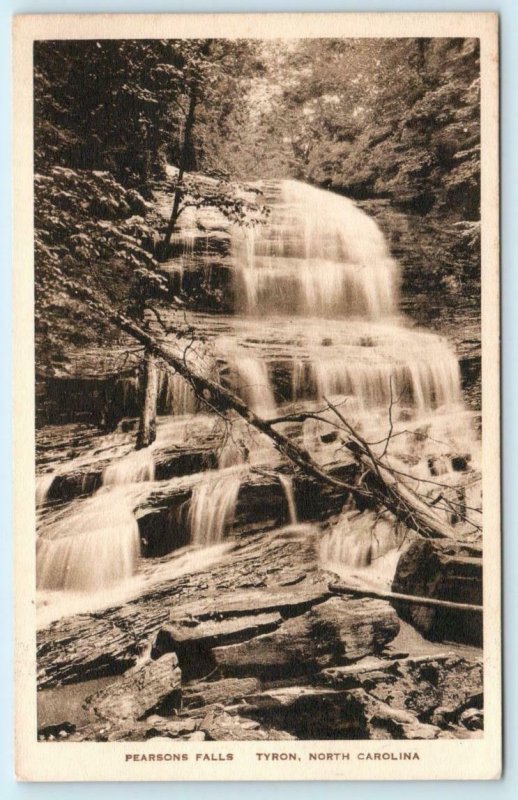 TRYON, North Carolina NC ~ PEARSONS FALLS Polk County Albertype Postcard