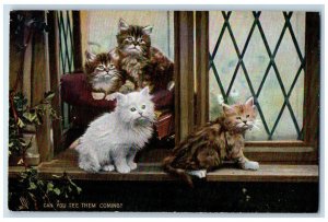 Postcard Can You See Them Coming Four Cats in Window c1910 Photochrome Tuck Cats
