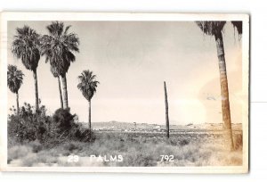 California CA RPPC Real Photo 1950 Palm Trees General View Postmarked