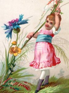 1870s-80s Victorian Trade Card Lovely Child With Large Flowers #B