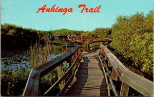 Anhinga Trail Everglades National Park Florida Scenic Chrome Cancel WOB Postcard 