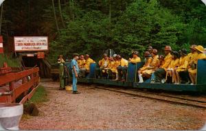 Michigan Iron Mountain The Iron Mine