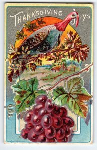 Thanksgiving Greetings Postcard Embossed Turkey Grapes Vines Unposted Vintage