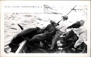 Tuna Fishing Men Dpull Up Massive Fish Wedgeport Nova Scotia NS RPPC