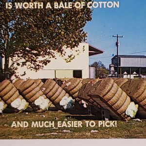 Vintage Postcard Greetings from Dixie cotton bales Mississippi 1984 cotton bales