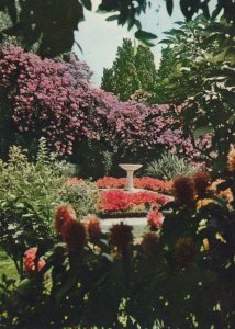 Val Rahmeh French Flowers Menton Garavan Postcard