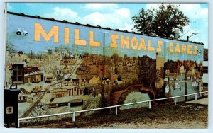 MILL SHOALS, Illinois IL ~ Ben Enright Mural MILL SHOALS CARES c1970s Postcard