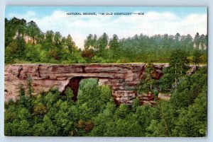 Winchester Kentucky KY Postcard Natural Bridge Panorama View 1940 Vintage Linen