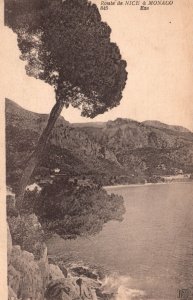 Vintage Postcard 1910's Route De Nice a Monaco River Trees Nature Attraction