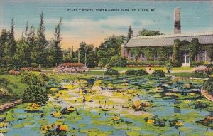 Missouri Saint Louis Lily Pond Tower Grove Park