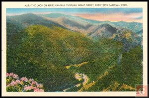 The Loop on Main Highway Through Great Smoky Mountains National Park