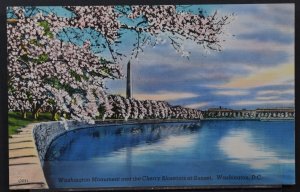 Washington, DC - Washington Monument and the Cherry Blossoms at Sunset