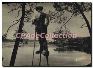Postcard Modern Guyenne Gascogne Echassier the edge of a lake The Waders