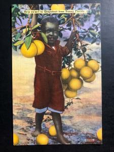 Mint USA Picture Postcard PPC Black Americana Grapefruit from Sunny florida