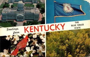 Greetings From Kentucky The Blue Grass State Split View