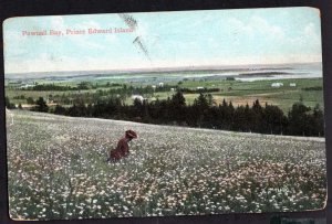 PEI Prince Edward Island POWNALL BAY Pub Valentine & Sons' PEI Island 1907 Und/B