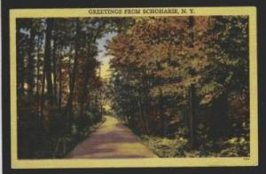 NY Greetings from SCHOHARIE NEW YORK PC Postcard