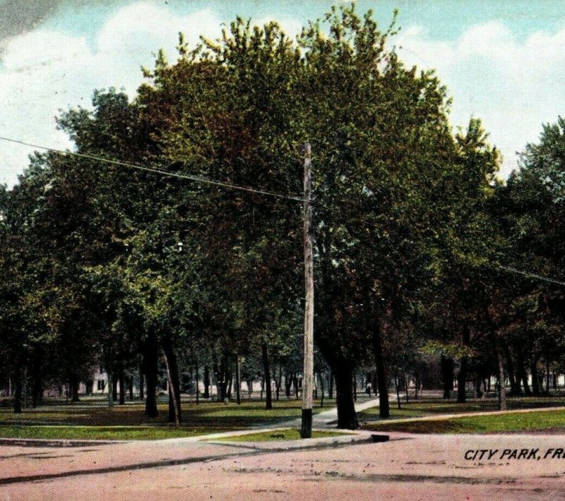 Circa 1900-08 City Park, Fremont, Nebraska Vintage  Postcard P23