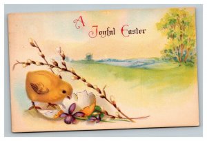 Vintage 1924 Easter Postcard Cute Chick Hatched Nice Meadow Purple Flowers